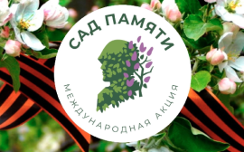 Итоги акции «Сад памяти» подвели на Кубани