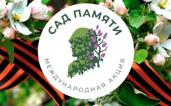 Итоги акции «Сад памяти» подвели на Кубани