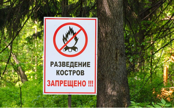 В Сочи проводится профилактика пожароопасных ситуаций на землях сельскохозяйственного назначения